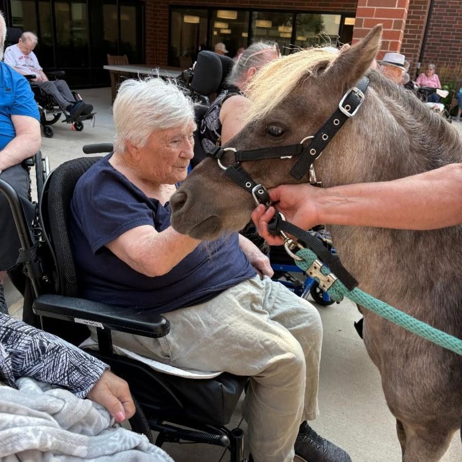 A resident greets the miniature pony