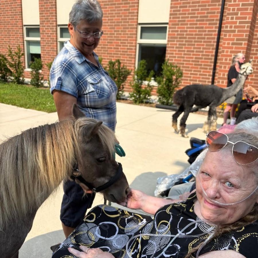 A resident strokes the miniature pony