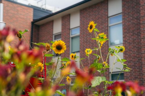 Exterior & Grounds – West Perth Village